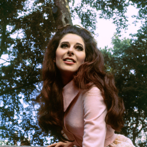 Manchester Square, 1969