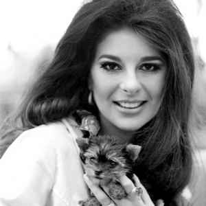Bobbie Gentry at London Airport w yorkshire terrier Billie Joe July 1968